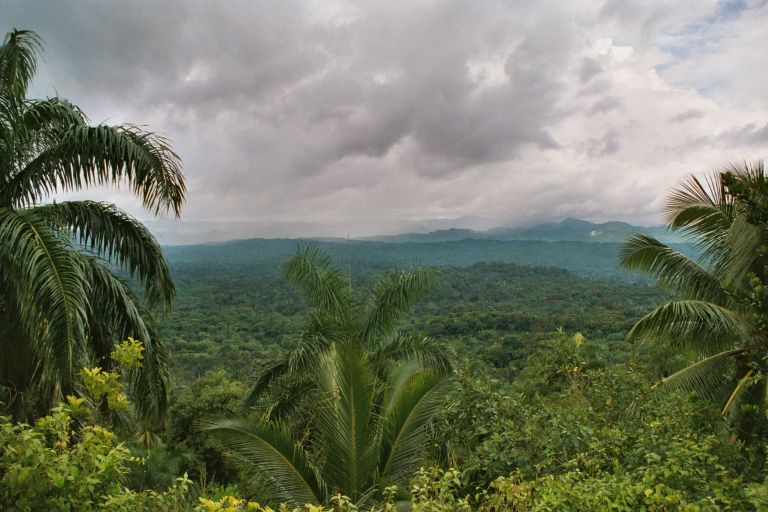 Forest around Baracoa